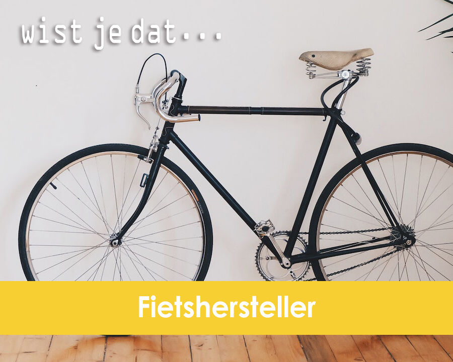 Wistjedat fietshersteller